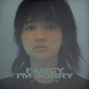 刘凡Fancy - 对不起 (和声版伴奏)