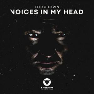 Voices In My Head