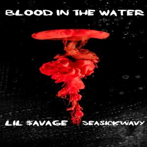Blood In The Water (feat. SEASICKWAVY) (Explicit)