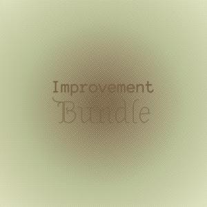 Improvement Bundle