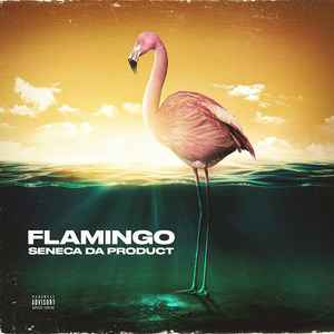 Flamingo (Explicit)