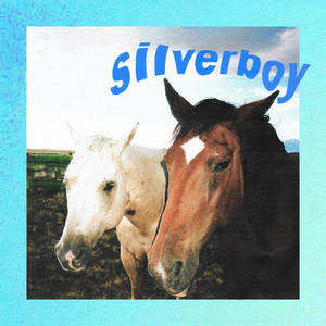 silverboy