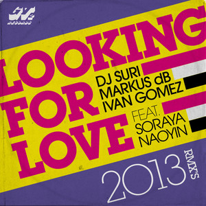 Looking for Love 2013 (Paulo Agulhari & Tommy Love Remix)