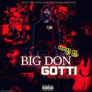 Big Don Gotti (Tha Don Tape) [Explicit]