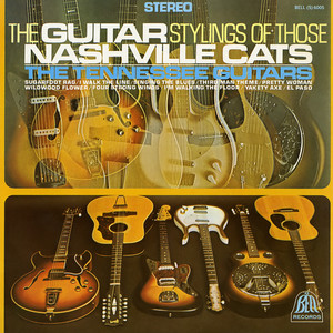 The Guitar Stylings of Those Nashville Cats