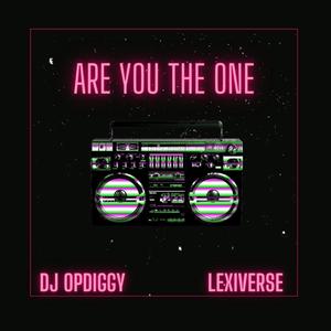 Are You The One (feat. LexiVerse)