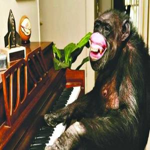 钢琴小品之3--雪城奥菲斯是个大胖子