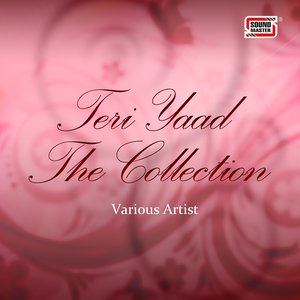 Teri Yaad - The Collection