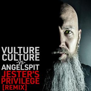 Jester's Privilege (Vulture Culture Remix) [Explicit]