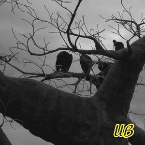 spookin 120-bpm Fmin