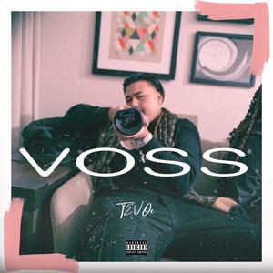 VOSS (Explicit)