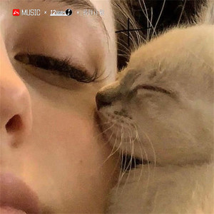 环绕硬蛋 (DJ版)