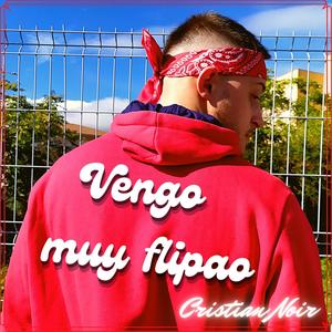 Vengo muy flipao (Explicit)