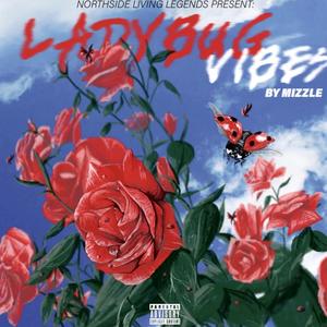 Ladybug Vibes (Explicit)