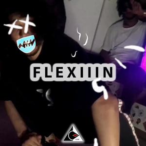 Flexiiin (Explicit)