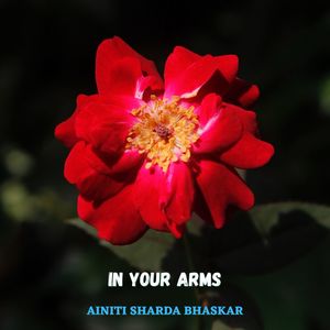 In Your Arms