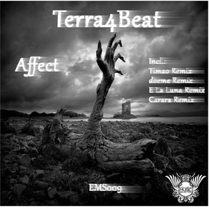 Affect (E la Luna Remix)