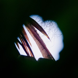 Everything Is Temporary