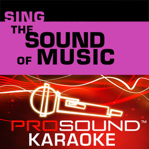 Edelweiss (Karaoke Instrumental Track|In the Style of Sound Of Music|伴奏)