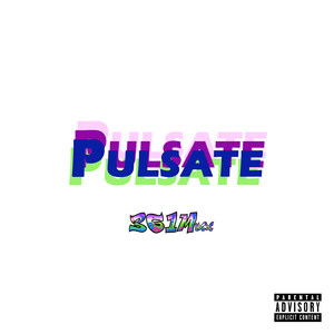 361 Mixx Presents... Pulsate