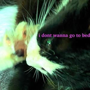 i dont wanna go to bed (Explicit)