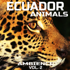 Ecuador Animals Ambient Sound