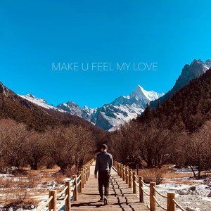 Make You Feel My Love