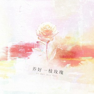 养好一枝玫瑰 (男声版)