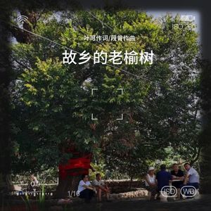 故乡的老榆树-曹海