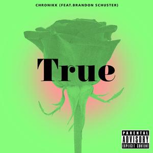 True (feat. Brandon Schuster) (Explicit)