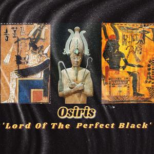 Sense Rising (feat. Black buddah) (Remix)