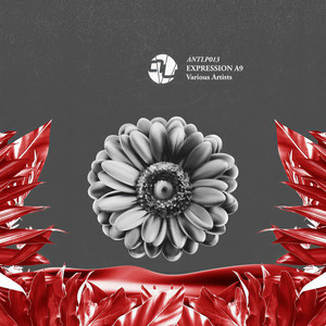 Mist (Original Mix)