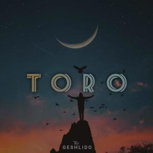 Toro