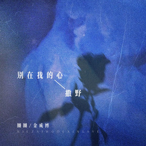 别在我的心撒野