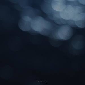 我的一个道姑朋友