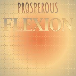 Prosperous Flexion