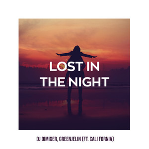 Lost in the Night (feat. Cali Fornia)