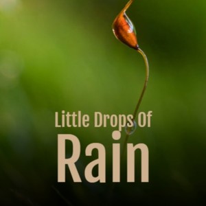 Little Drops of Rain