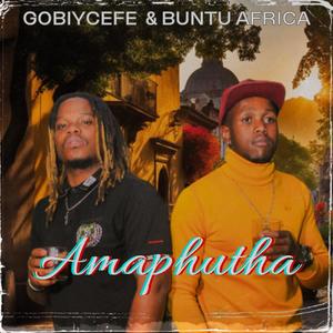 Amaphutha