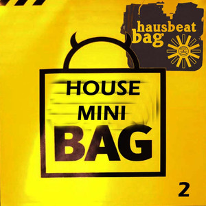 House MiniBag #2