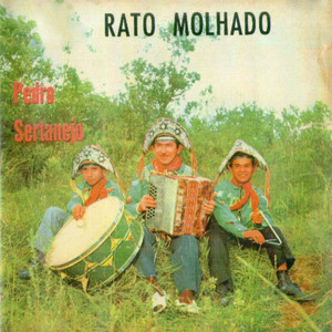 Rato Molhado