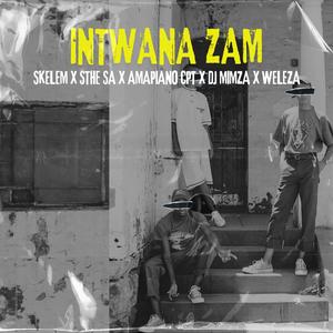 Intwana Zam (feat. Shandis RSA, Amapiano CPT, DJ Mimza & Weleza aka Mr operator) (乐器版)
