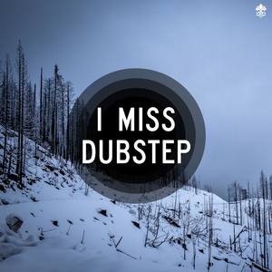 I Miss Dubstep