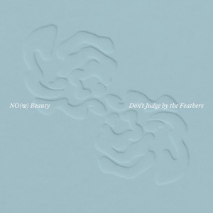 Don't Judge by the Feathers