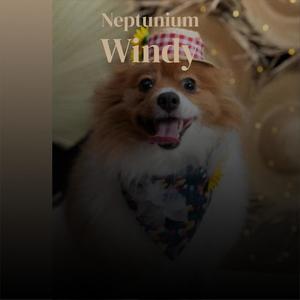 Neptunium Windy