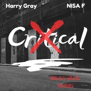 Critical (feat. NisaF) [JIDDY Remix]