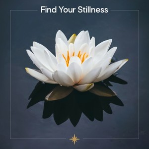 Find Your Stillness