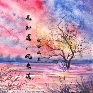 花知道风来过 (伴奏)