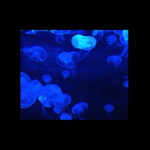 SIEMPRE ESTARÉ PA TI (feat. Mac Byan & Frank Sweet)