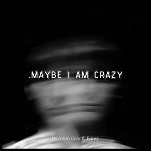 .maybe i am crazy (feat. Banxy)